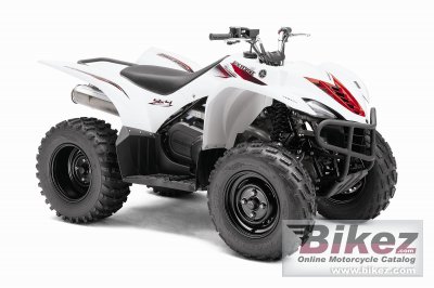 2012 Yamaha Wolverine 450 Auto 4x4 photo